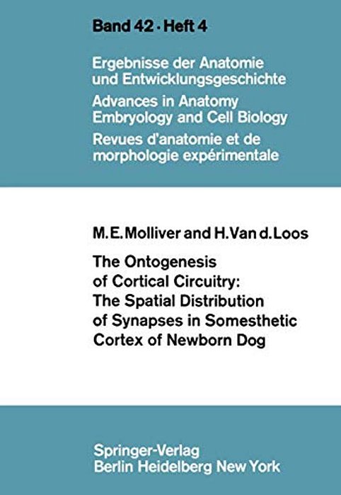 The Ontogenesis Of Cortical Circuitry: The Spatial Distribution Of Synapses In Somesthetic Cortex Of Newborn Dog-..