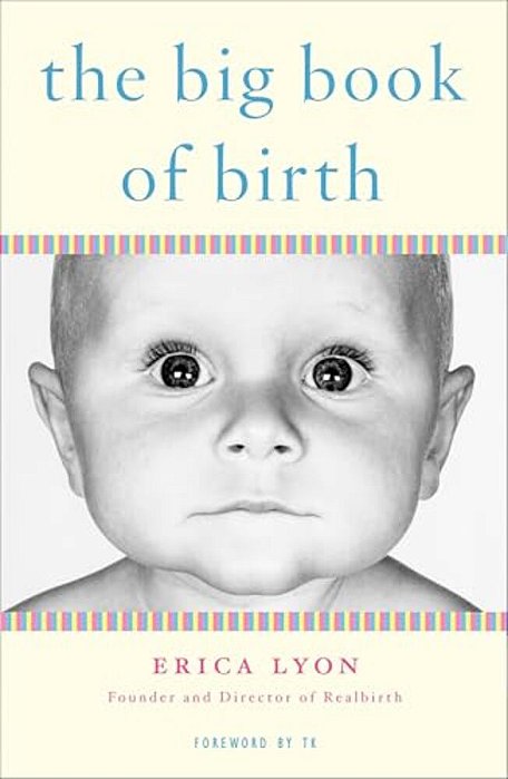 The Big Book Of Birth-..
