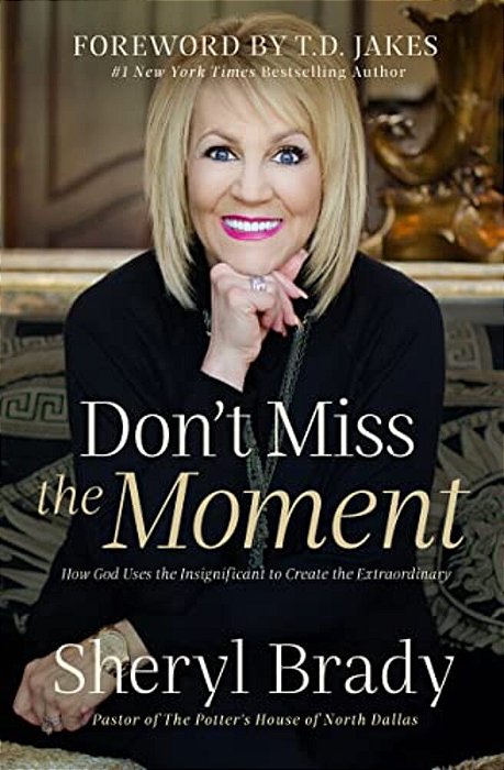 Don't Miss The Moment: How God Uses The Insignificant To Create The Extraordinary-..