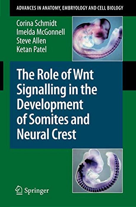 The Role Of Wnt Signalling In The Development Of Somites And Neural Crest-..
