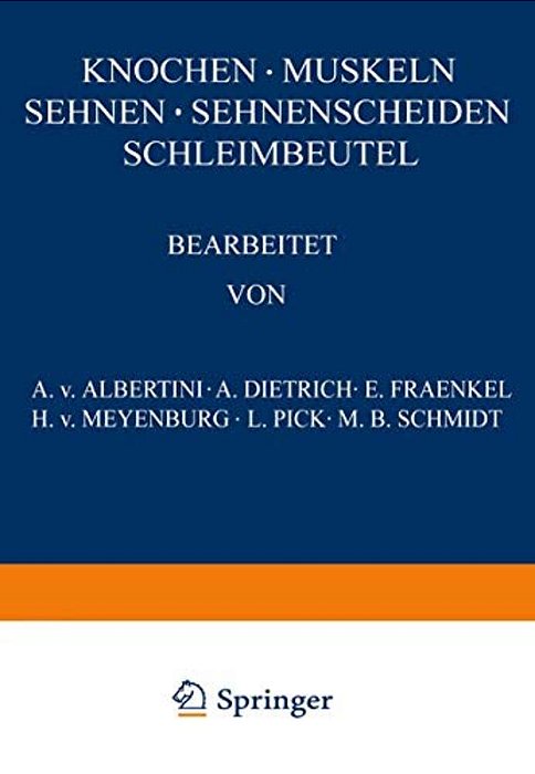 Knochen - Muskeln Sehnen - Sehnenscheiden Schleimbeutel-..