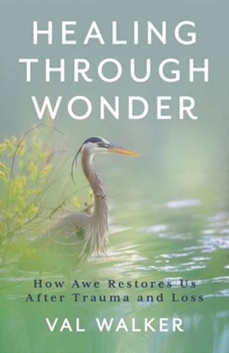 Healing Through Wonder: How Awe Restores US After Trauma And Loss-..