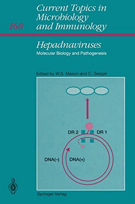 Hepadnaviruses: Molecular Biology And Pathogenesis-..