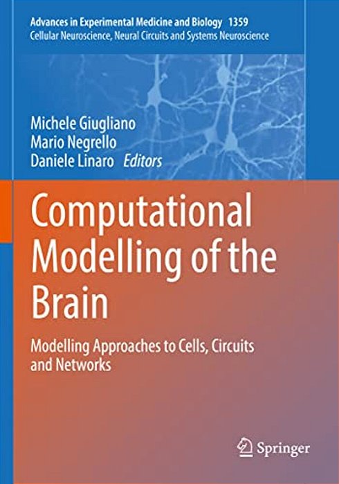 Computational Modelling Of The Brain: Modelling Approaches To Cells, Circuits And Networks-..