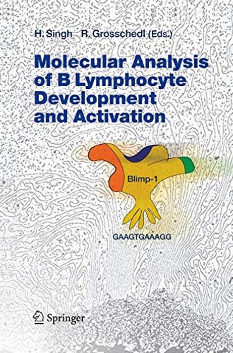 Molecular Analysis Of B Lymphocyte Development And Activation-..