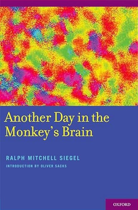 Another Day In The Monkey's Brain-..