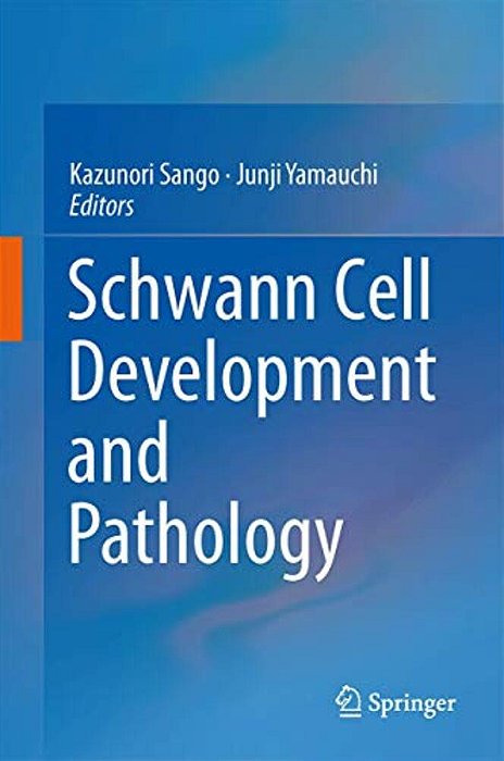 Schwann Cell Development And Pathology-..