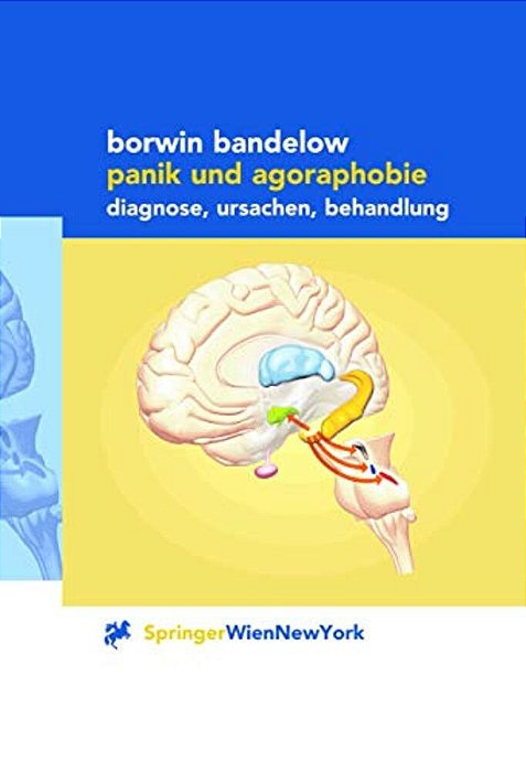 Panik Und Agoraphobie: Diagnose, Ursachen, Behandlung-..