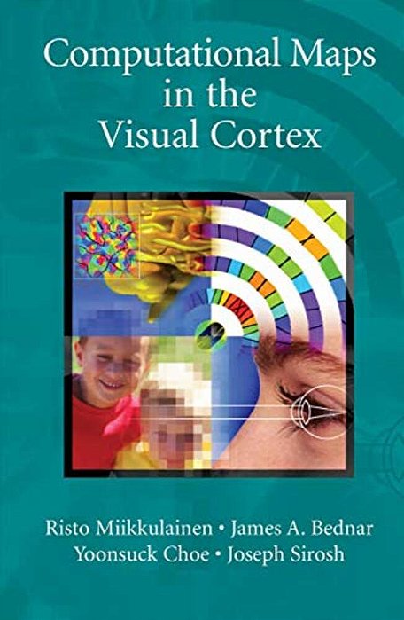 Computational Maps In The Visual Cortex-..