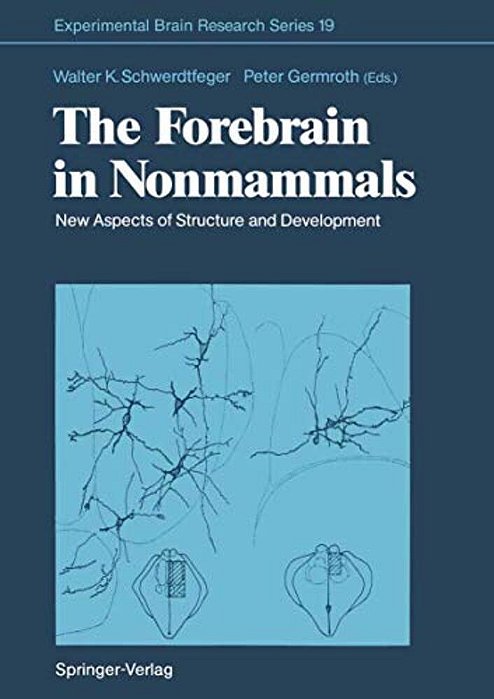 The Forebrain In Nonmammals: New Aspects Of Structure And Development-..