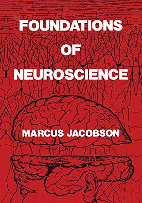 Foundations Of Neuroscience-..