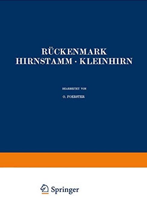 Rückenmark Hirnstamm - Kleinhirn-..
