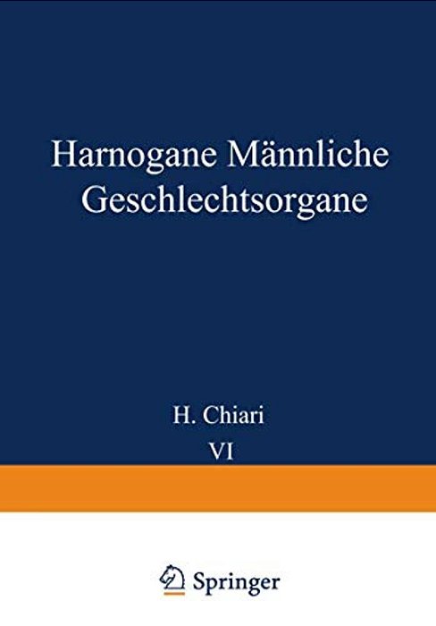 Harnorgane Männliche Geschlechtsorgane-..