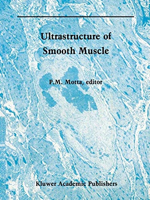 Ultrastructure Of Smooth Muscle-..