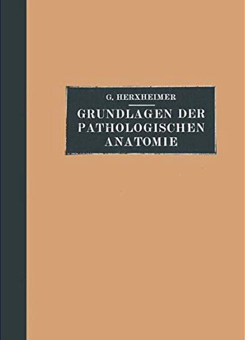 Grundlagen Der Pathologischen Anatomie Für Studierende Und Ärzte: Zugleich 15. Und 16. Aufl. Des Grundrisses Der Pathologischen Anatomie Von Schmaus/h-..