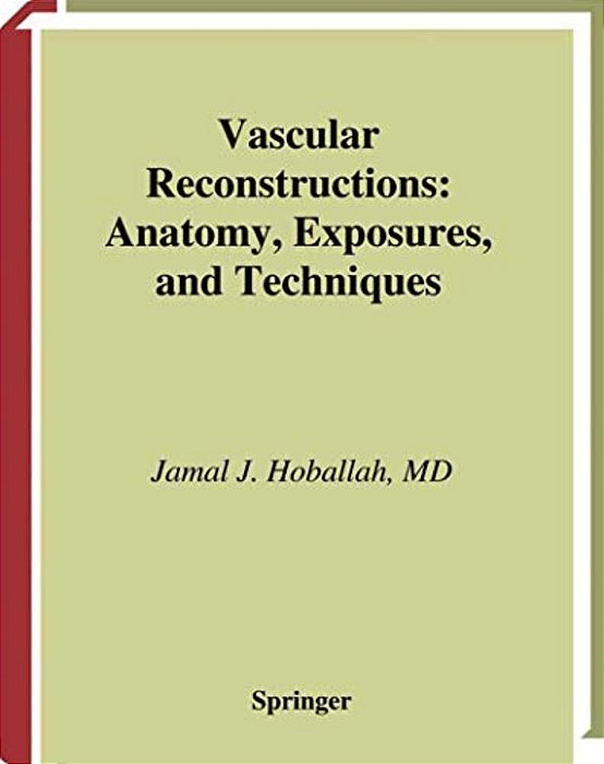 Vascular Reconstructions: Anatomy, Exposures And Techniques-..