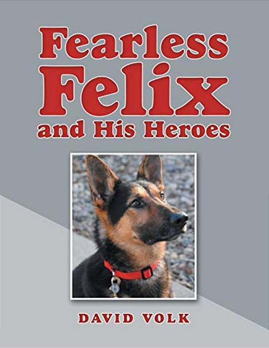 Fearless Felix And His Heroes-..