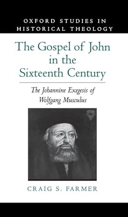 The Gospel Of John In The Sixteenth Century: The Johannine Exegesis Of Wolfgang Musculus-..