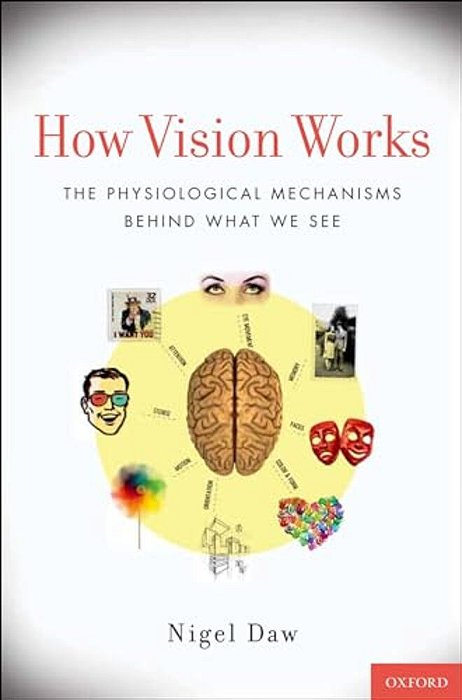 How Vision Works: The Physiological Mechanisms Behind What We See-..