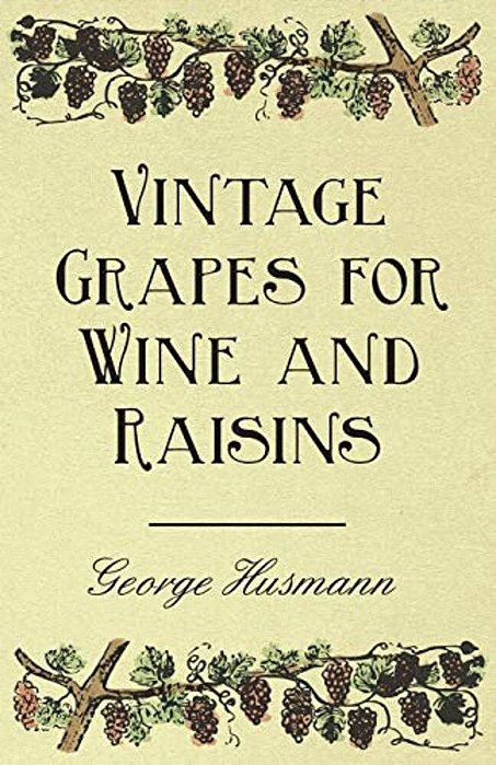 Vintage Grapes For Wine And Raisins-..