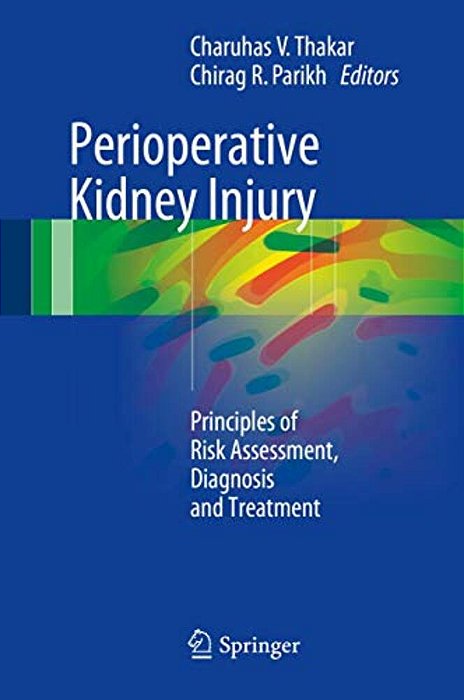 Perioperative Kidney Injury: Principles Of Risk Assessment, Diagnosis And Treatment-..
