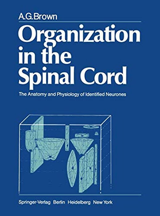 Organization In The Spinal Cord: The Anatomy And Physiology Of Identified Neurones-..