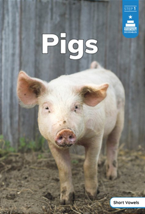 Pigs-..