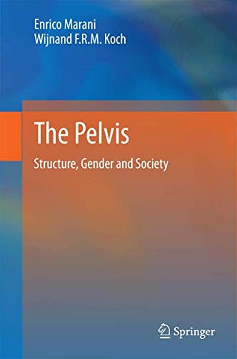 The Pelvis: Structure, Gender And Society-..