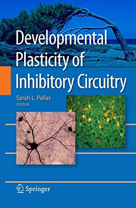 Developmental Plasticity Of Inhibitory Circuitry-..