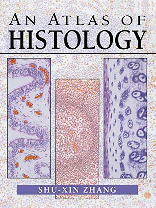 An Atlas Of Histology-..