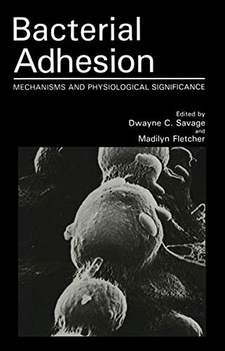 Bacterial Adhesion: Mechanisms And Physiological Significance-..
