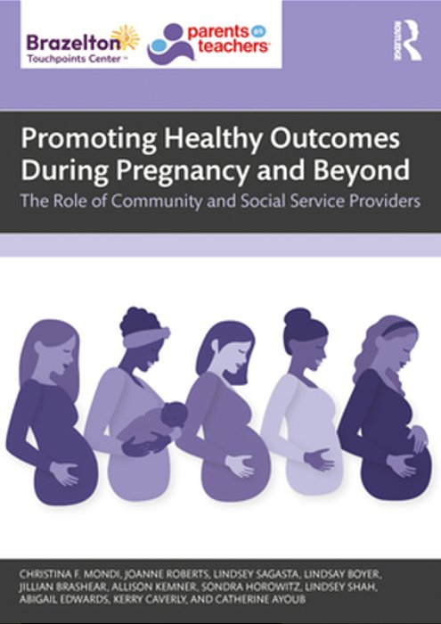 Promoting Healthy Outcomes During Pregnancy And Beyond: The Role Of Community And Social Service Providers-..