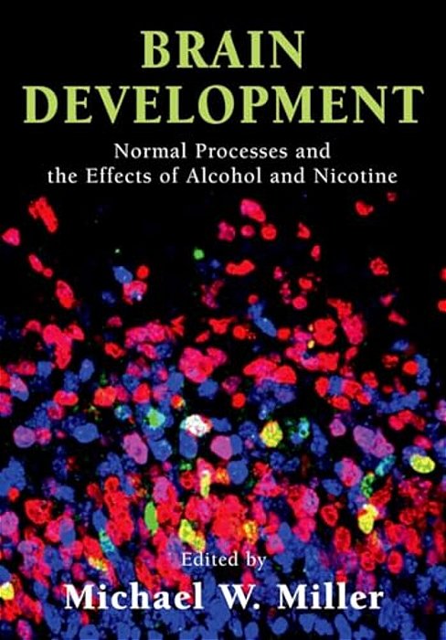 Brain Development: Normal Processes And The Effects Of Alcohol And Nicotine-..