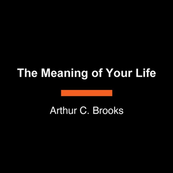 The Meaning Of Your Life: Finding Purpose In An Age Of Emptiness-..