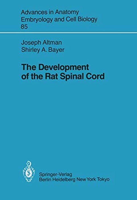 The Development Of The Rat Spinal Cord-..