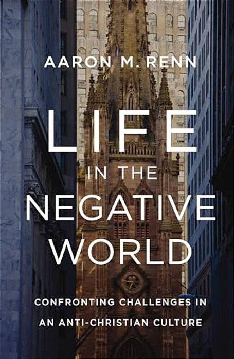 Life In The Negative World: Confronting Challenges In An Anti-Christian Culture-..