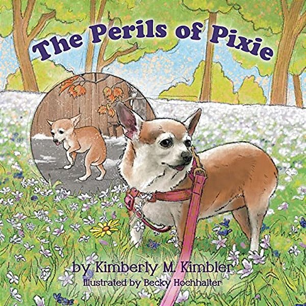 The Perils Of Pixie-..