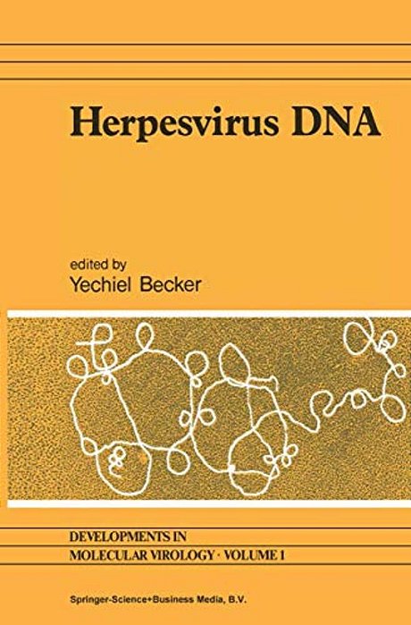Herpesvirus Dna: Recent Studies On The Organization Of Viral Genomes, Mrna Transcription, Dna Replication, Defective Dna, And Viral Dna Sequences In T-..
