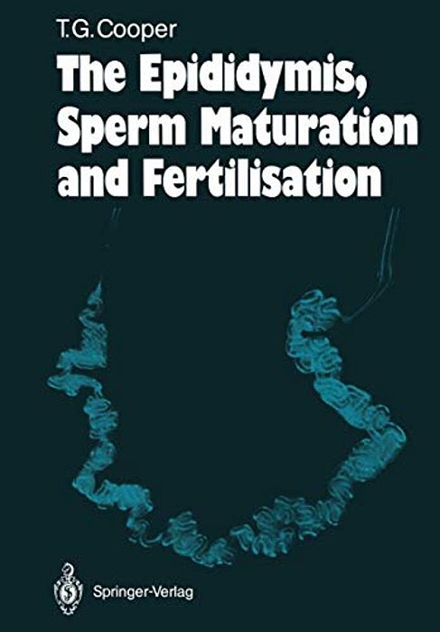 The Epididymis, Sperm Maturation And Fertilisation-..