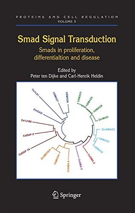 Smad Signal Transduction: Smads In Proliferation, Differentiation And Disease-..