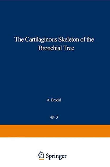 The Cartilaginous Skeleton Of The Bronchial Tree-..