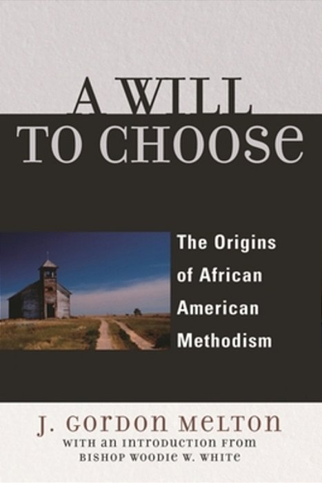 Will To Choose: The Origins Of African American Methodism-..
