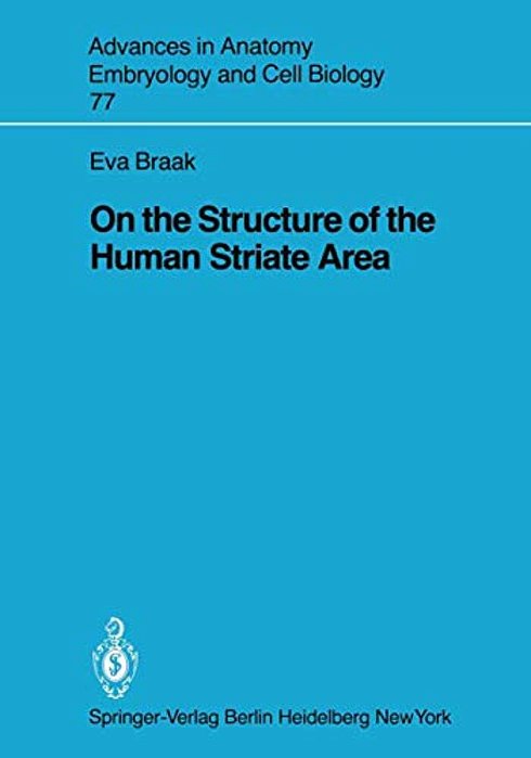 On The Structure Of The Human Striate Area-..