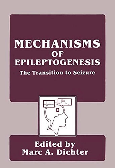 Mechanisms Of Epileptogenesis: The Transition To Seizure-..