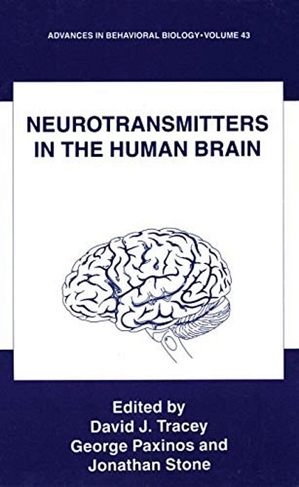 Neurotransmitters In The Human Brain-..