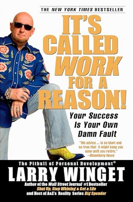 It's Called Work For A Reason!: Your Success Is Your Own Damn Fault-..