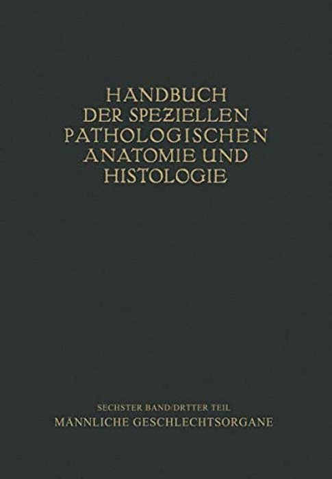 Harnorgane Männliche Geschlechtsorgane-..