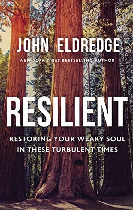 Resilient: Restoring Your Weary Soul In These Turbulent Times-..