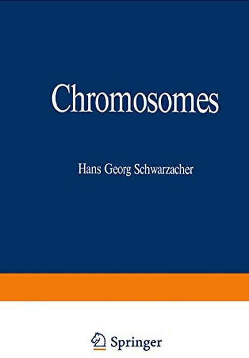 Chromosomes: In Mitosis And Interphase-..