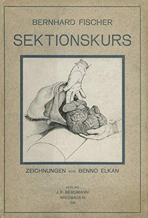 Der Sektionskurs, Kurze Anleitung Zur Pathologisch-Anatomischen Untersuchung Menschlicher Leichen-..